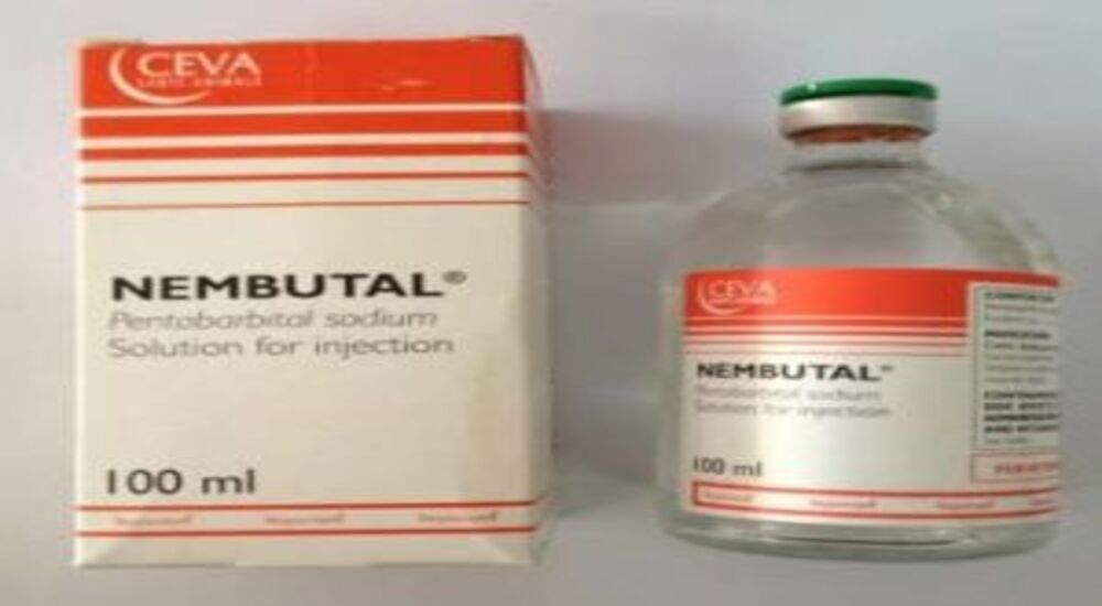 Liquid vs Powder Nembutal – Which is Right for You?