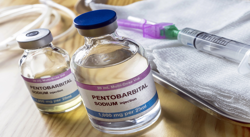 Nembutal Euthanasia: Everything You Need to Know